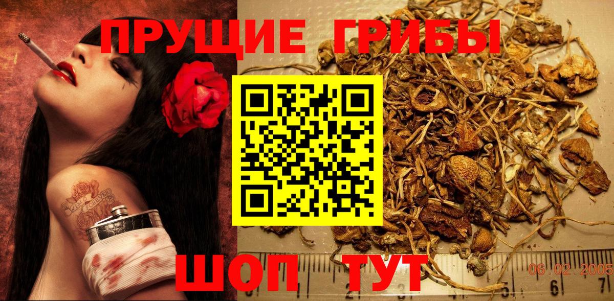 Галлюциногенные грибы мухоморы Набережные Челны